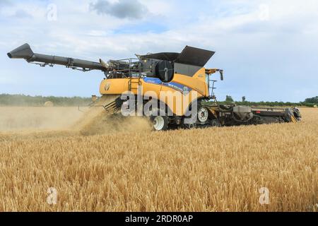 21. Juli 2023 New Holland CR990 mit einem MacDon-Schneidwerk für die Ernte von Wintergerste in South Lincolnshire Stockfoto