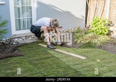 Eine Frau arbeitet in einem kleinen Garten und legt Rollen von neuem Rasen auf vorbereitetem Boden Stockfoto