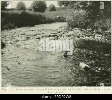 "Ökologie und Ökonomie der Fische im Oneida-See" (1928) Stockfoto