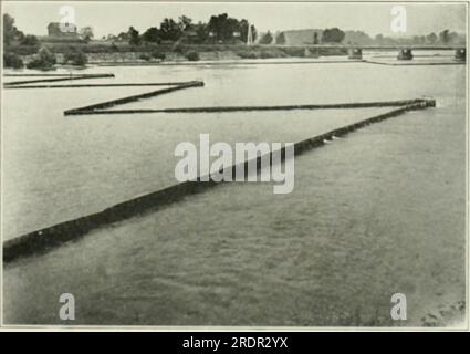 "Ökologie und Ökonomie der Fische im Oneida-See" (1928) Stockfoto