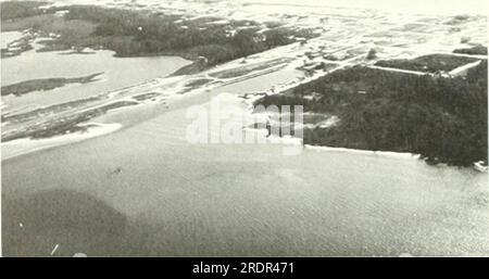 "Die Ökologie des Apalachicola Bay-Systems : ein Mündungsprofil" ([1984]) Stockfoto