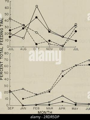 "Die Ökologie der Blattvoren des Baumes : ein Symposium im Erhaltungs- und Forschungszentrum, National Zoological Park, Smithsonian Institution, 29.-31. Mai 1975" (1978) Stockfoto