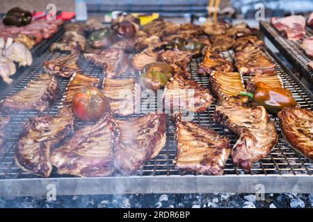 Blick auf Fleisch mit Paprika, die auf einem großen Grill geröstet werden Stockfoto