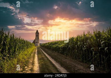 Verfallene Kirche in ungarn Diese Ruine der Kirche befindet sich auf dem Plattensee inmitten eines Maisfeldes. Die Ruinen gehören zu einer alten orthodoxen Kirche Stockfoto