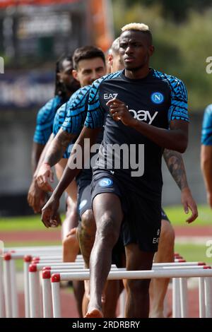 Dimaro, Neapel, Italien. 23. Juli 2023. Victor Osimhen von Neapel während eines Trainingscamps vor der Saison, Dimaro Italy (Kreditbild: © Ciro De Luca/ZUMA Press Wire), NUR REDAKTIONELLE VERWENDUNG! Nicht für den kommerziellen GEBRAUCH! Stockfoto