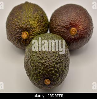 Drei Avocados Stockfoto