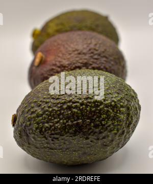 Drei Avocados Stockfoto