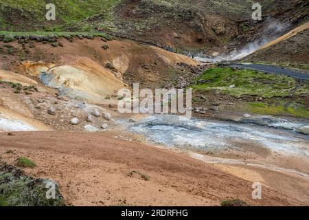 Krysuvik Hot Springs, Fúlipollur, Seltun Geothermal Area, Reykjanes Peninsular, Island Stockfoto