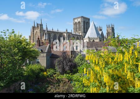 York Minster, North Yorkshire, Großbritannien Stockfoto