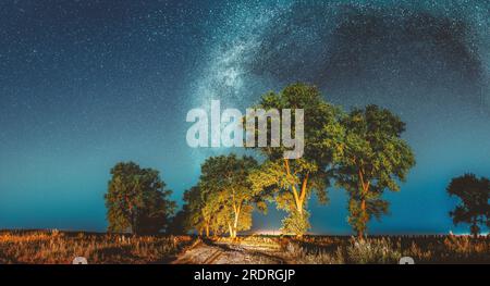 Milchstraße Galaxie In Der Nacht Sternenhimmel Über Baum Im Sommerwald. Leuchtende Sterne Über Der Landschaft. Panorama Stockfoto