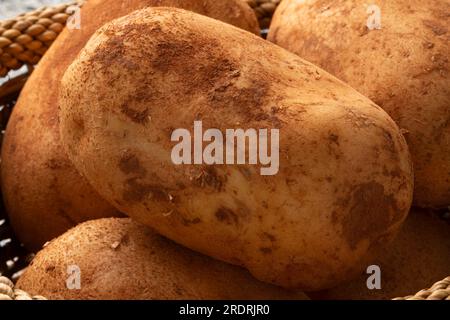 Frisch gepflückte braune französische Kartoffeln mit Lehm in einem Korb aus nächster Nähe Stockfoto