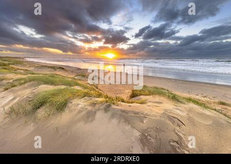 Dünenlandschaft unter bewölktem Herbsthimmel. Dunkle Wolken, die über der untergehenden Sonne wehen. Wijk aan Zee, Nordholland. Niederlande. Meereslandschaft der Natur Stockfoto