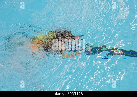 Amateur-Subaqua-Taucher im Schwimmbad, UK 2023 Stockfoto