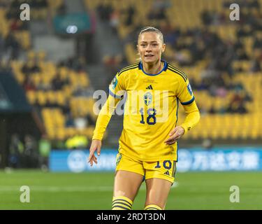 Wellington, Neuseeland. 23. Juli 2023. Fridolina Rolfo (18, Schweden) konzentriert sich weiterhin auf den Ball. Schweden gegen Südafrika. Gruppe G. FIFA Frauen-Weltmeisterschaft 2023 Australien und Neuseeland. Schweden gewinnt 2-1 in Wellington. Neuseeland. (Joe Serci/SPP) Kredit: SPP Sport Press Photo. Alamy Live News Stockfoto