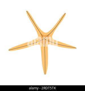 Seesterne. Meeressternfisch, Weichtiere. Stock Vektor