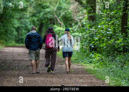 Drei Freunde, die einen Pfad oder Pfad durch den Wald entlang spazieren. Wandern Sie gemeinsam mit drei Personen durch den Wald. Freunde auf Wanderung. Stockfoto