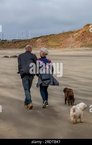 Ein pensioniertes Paar, das mit zwei kleinen Hunden am Strand auf der Insel wight spaziert. Ein älteres Paar, das zusammen mit seinen Terriern am Strand spazieren ging. Stockfoto