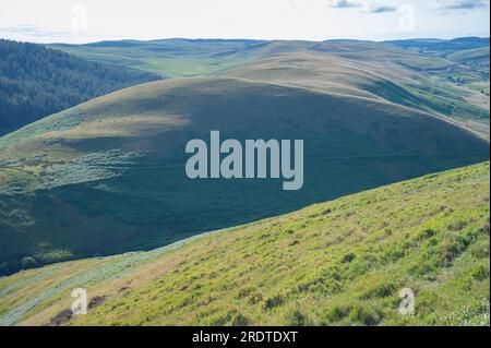 Hafod Las und Pen y Garfan bilden ein karges Berggebiet zwischen Pysgotwr Fawr und Fach, Mid-Wales, Vereinigtes Königreich Stockfoto