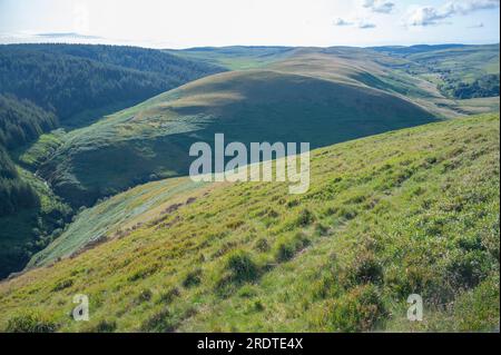 Hafod Las und Pen y Garfan bilden ein karges Berggebiet zwischen Pysgotwr Fawr und Fach, Mid-Wales, Vereinigtes Königreich Stockfoto