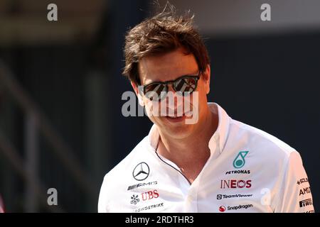 Mogyorod, Ungarn. 23. Juli 2023. Torger Christian Toto Wolff, Teamleiter des Mercedes AMG Petronas F1-Teams in der Koppel vor dem Großen Preis von Ungarn F1 . Kredit: Marco Canoniero/Alamy Live News Stockfoto