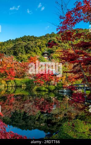 Eikan-dō (Zenrin-ji) Tempel Kyoto im Herbst Stockfoto