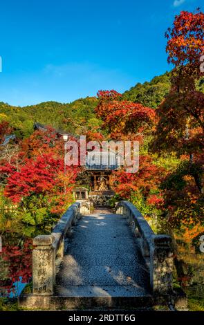 Eikan-dō (Zenrin-ji) Tempel Kyoto im Herbst Stockfoto