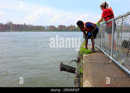 Mitarbeiter des Billion Oyster Project ziehen einen Austernkäfig aus dem East River in einer Austernforschungsstation in New York City, 15. Juli 2023. Stockfoto
