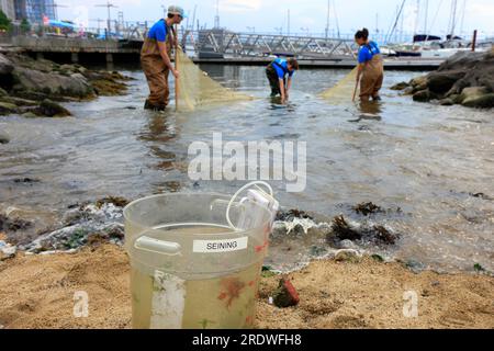 Brooklyn Bridge Park Conservancy-Mitarbeiter, die den East River, New York City, bei einer öffentlichen Wadenwadenveranstaltung, City of Water Day, 15. Juli 2023, besiegen. Stockfoto