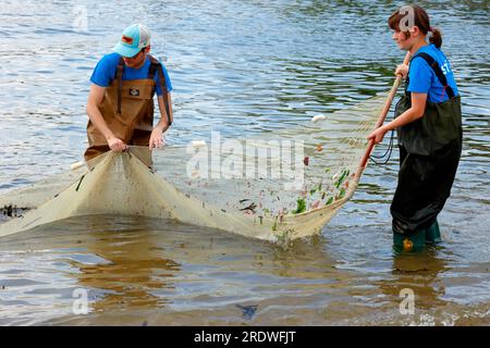 Brooklyn Bridge Park Conservancy-Mitarbeiter, die den East River, New York City, bei einer öffentlichen Wadenwadenveranstaltung, City of Water Day, 15. Juli 2023, besiegen. Stockfoto