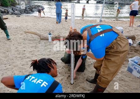 Die Mitarbeiter von Brooklyn Bridge Park Conservancy messen die Wassertransparenz des East River von New York City mit einem transparenten Rohr mit einer Secchi-Scheibe, 15. Juli 2023 Stockfoto