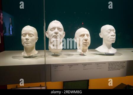 Los Angeles, Kalifornien, USA 25. Juli 2022 Life Masks of Grace Kelly, Clark Gable, Mel Brooks und Don Cheadle im Academy Museum of Motion Pictures am 25. Juli 2022 in Los Angeles, Kalifornien, USA. Foto: Barry King/Alamy Stock Photo Stockfoto