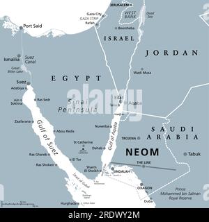 NEOM und Sinai-Halbinsel, graue politische Karte. NEOM, geplante intelligente Stadt in der Provinz Tabuk im Nordwesten Saudi-Arabiens, nördlich des Roten Meeres, östlich von Ägypten. Stockfoto