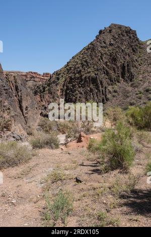 Kasachstan, Charyn (Sharyn) Canyon, Blick vom Trail. Stockfoto