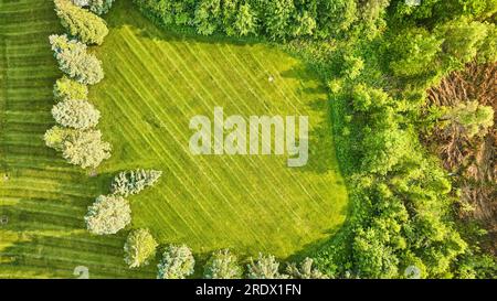 Frisch geschnittener Rasen mit horizontalen Linien, Landschaftsgestaltung und Waldgolfplatzqualität Stockfoto