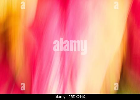 Abstrakte Kunstgegenstände im Hintergrund und Lichtströme von pinkfarbenem und gelbem Licht, die zu Rot und Gold verfärben Stockfoto