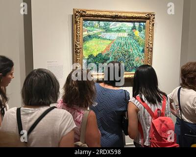 Die Ausstellung „Van Goghs Zypressen“ im Metropolitan Museum of Art ist die erste Ausstellung, die sich auf die Bäume konzentriert - eine der berühmtesten in der Kunstgeschichte. „Französische Landschaft in Arles“ Stockfoto