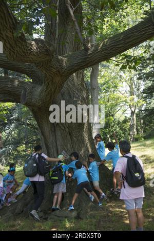 Camper lernen, dass das Umarmen von Bäumen eine gute Energie ist. Tagescamps im Brooklyn Botan ic Garden in Brooklyn, New York. Stockfoto