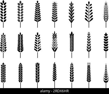 Symbole für isolierte Silhouetten aus schwarzem Weizen. Gerste-Roggen-Ohren, Getreide-Agrarsymbole. Saisonale Bauernhöfe, biologisches Brot oder ernten anständige Vektorzeichen Stock Vektor