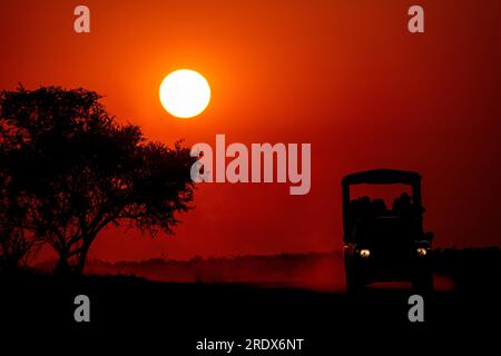 Safari-Auto bei Sonnenaufgang, Wasserloch Klein Namutoni, Etosha-Nationalpark, Namibia Stockfoto