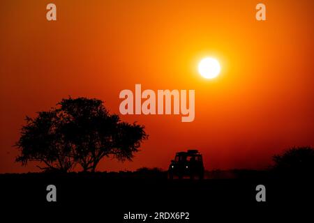 Safari-Auto bei Sonnenaufgang, Wasserloch Klein Namutoni, Etosha-Nationalpark, Namibia Stockfoto