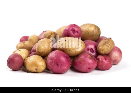 Nahaufnahme von frisch geernteten roten und gelben Babykartoffeln vor weißem Hintergrund. Stockfoto