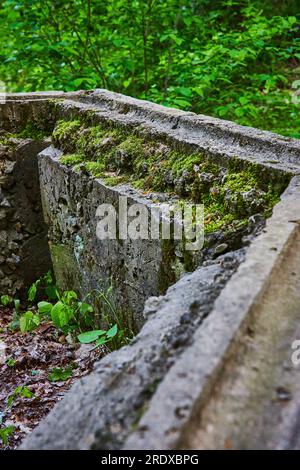 Beton über dem Boden Teilweise sechseckige Struktur mit Pflanzen, Park, Wald überwuchert Stockfoto