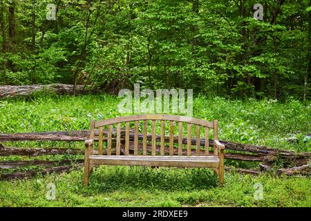 Einfache Bank in grünem Gras mit umgestürztem Baum dahinter und bewaldetem Hintergrund Stockfoto