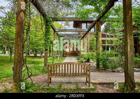 Bank auf dem Weg, die den Pergola-Korridor hinunterführt, zu einem riesigen Fuß an der Kabinenwand Stockfoto