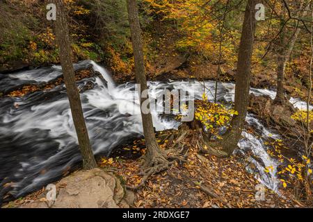 Mohawk Falls im Herbst, Ricketts Glen State Park, Pennsylvania Stockfoto