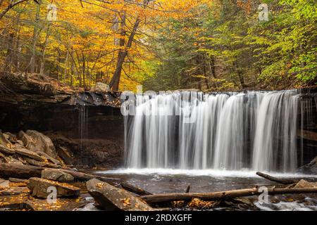 Oneida Falls im Herbst, Ricketts Glen State Park, Pennsylvania Stockfoto