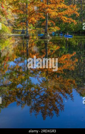 Kajakfahrer im Herbst, Trap Pond State Park, Delaware Stockfoto