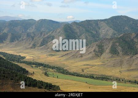 Ein schmaler und langer Waldstreifen erstreckt sich entlang des Bodens eines wunderschönen Tals, eingebettet zwischen Bergketten. Altai, Sibirien, Russland. Stockfoto