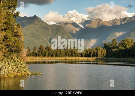 Der malerische Matheson Lake im Fox Glacier mit den südlichen alpen im Hintergrund an der Westküste Neuseelands Stockfoto