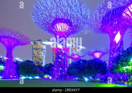 Die abendliche Lichtshow im Supertree Grove of the Gardens an der Bucht in Singapur. Das Marina Bay Sands Hotel ist im Hintergrund zu sehen. Stockfoto